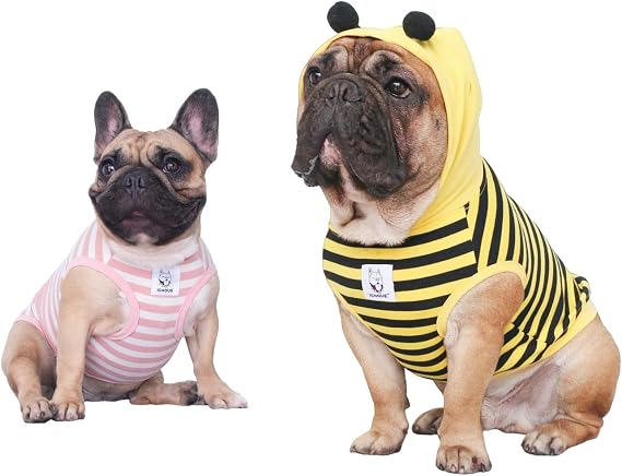 Bee Costume and Shirts - L+