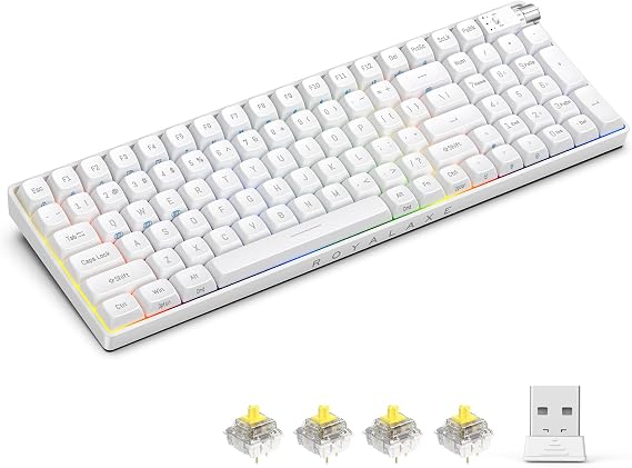 R100 Wireless Mechanical Keyboard, Hot Swappable Wired/2.4G Wireless/Bluetooth Keyboard with RGB Light for Windows & Mac, PBT Keycaps, G Pro 3.0 Yellow Switch, White