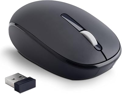 Wireless Soundless Mouse,2.4Ghz Optical Mice with Nano Receiver Suitable for ComputerWindowsMacChrome OSLinuxAndriodiOS. Black