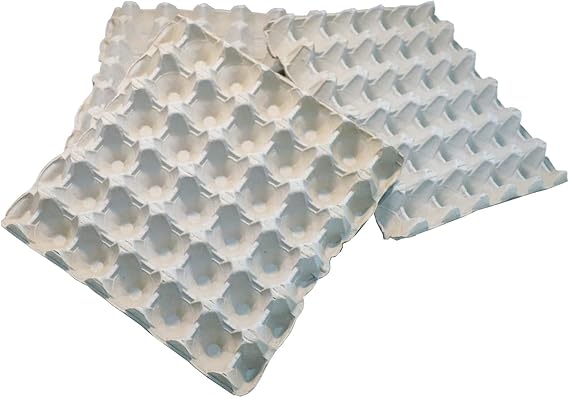 Home Centre Egg Boxes Trays, 10 Pieces, Holds 30 Eggs, Recyclable Cardboard