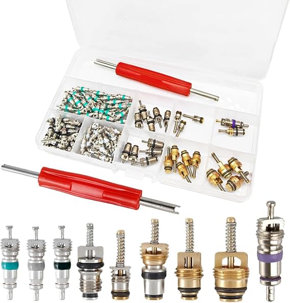 134pcs Car Air Conditioner Valve Core Kit R12 R134a A/C Schrader Valve Core