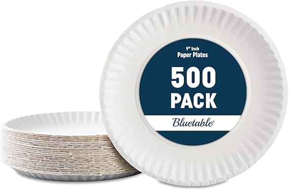 Bluetable 9 Inch Paper Plates Bulk 500 Count - Uncoated White 9 Dinner Plate Pizza Plate Decorative Craft Paper Plates Disposable Plates [500 Pack/Case]