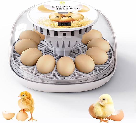 Egg Incubators, Automatic Chicken Incubator with 12 Hatching Eggs, Egg Incubators for Hatching Eggs for Small Poultry, Chickens, Ducks (Water bottle not included)