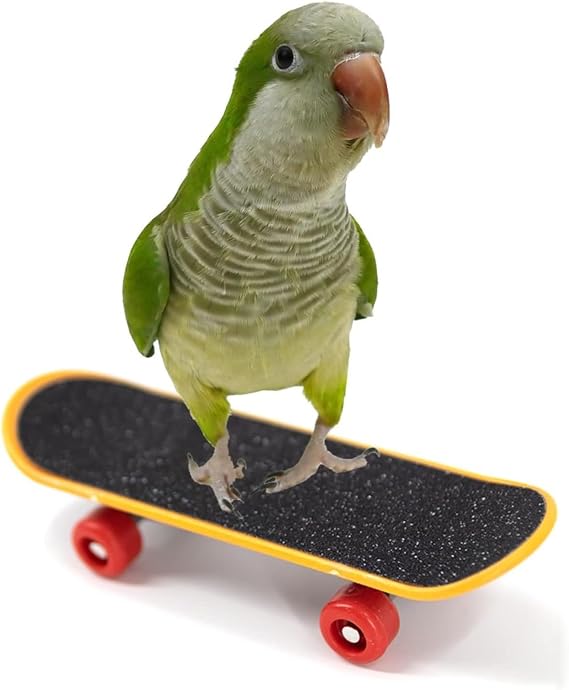 Bird Toys Mini Skateboard Training Trick Prop Toys Funny Intelligence Educational Grind Foot Toys for Parrot Parakeet Conures Cockatiels (Regular Version,1PC)
