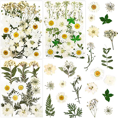 86Pcs White Pressed Dried Flowers Real Natural Leave for DIY Resin Molds Candle Jewelry Nail Crafts Gifts