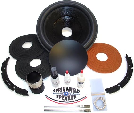 Alpine 10" Recone Kit + Install Kit - Dual 2 Ohm - Compatible with Alpine SWR-1022D Subwoofer