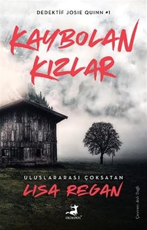 Kaybolan Kızlar: Dedektif Joise Quinn 1
