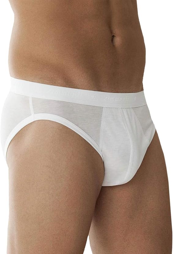 Zimmerli Royal Classic Closed Fly Brief (252-880)