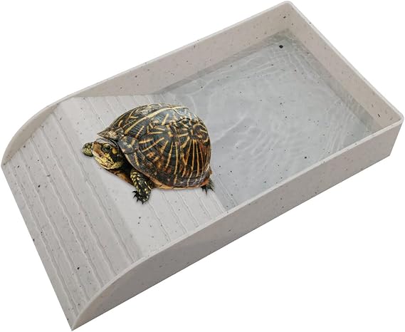 Reptile Feeding Dish Portable Ramp Basking Dock