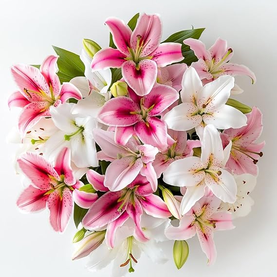 GlobalRose 10 Assorted Oriental Lilies Responsibly Sourced Lily Flowers Hand-Picked Flowers Fresh Bouquet for Graduation, Anniversary, Birthday & Special Occasions