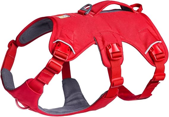 Ruffwear, Web Master Dog Body Harness, Red Canyon, XX-Small