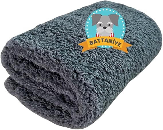 Brain Cat Dog Blanket Premium Plush Pet Sleep Blanket Washable Gray (60x80)
