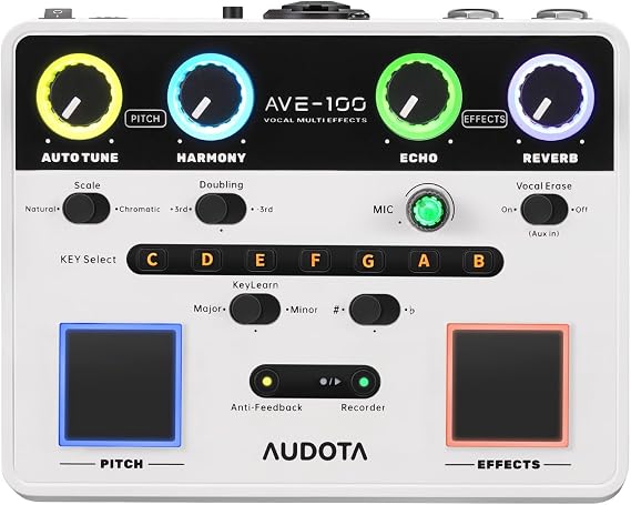 AVE-100 Multi-Effect Vocal Processor - Triple Intelligent Loop Cancellation, OTG Audio Interface for Singers, Podcasters, Live Streaming & Home Studio