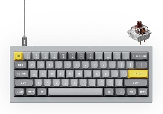 Keychron Q4 Wired Custom Mechanical Keyboard, 60% Layout QMK/VIA Programmable Macro with Hot-swappable Gateron G Pro Brown Switch Double Gasket Compatible with Mac Windows Linux - Grey