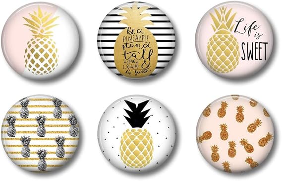 Locker Magnets for Girls - Pink and Gold Pineapples