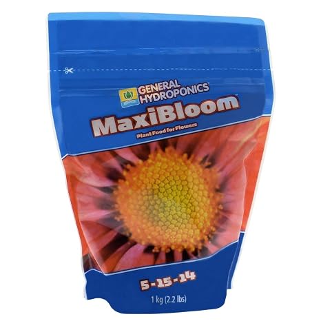 Maxi Bloom 2.2 Lb