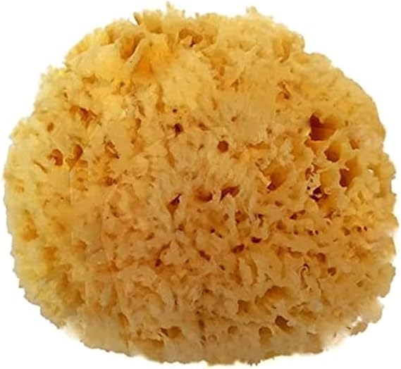 Spa Destinations Natural Sea Wool Sponge 5-6" Natural Renewable Resource Bath & Shower