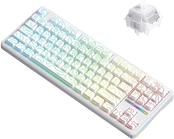 Aula F87 PRO Mekanik RGB TKL Kayhua İntelligent Switch Kablosuz Makrolu Hot Swap Klavye Desenli Beyaz