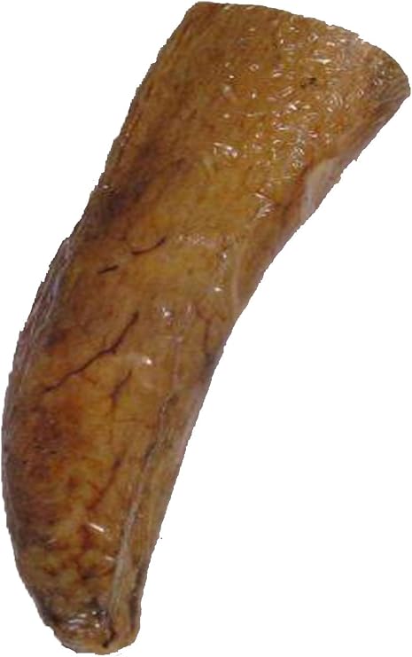 QT Dog Buffalo Horn Core Chew (1 Each), Medium