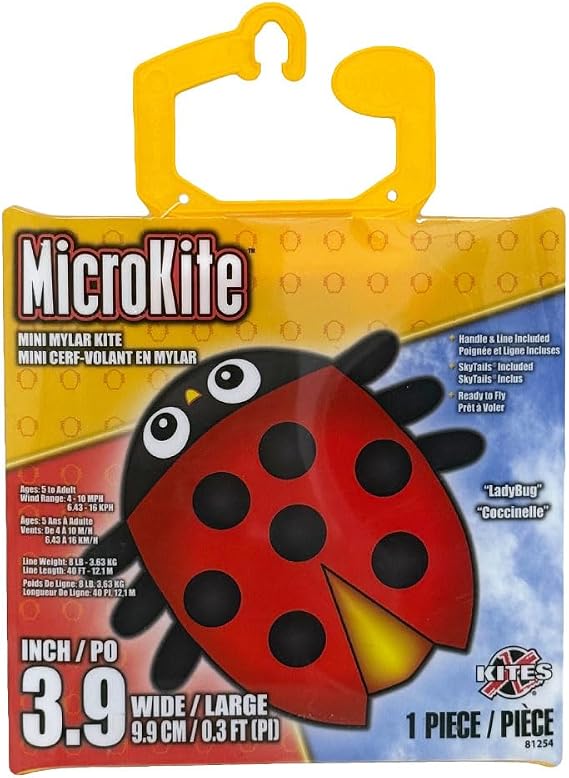 Ladybug Micro Kite