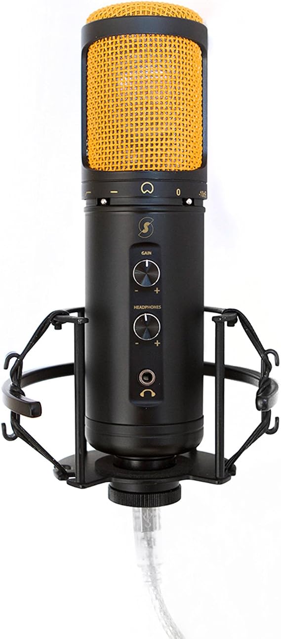 Editors Keys USB SL600 Microphone for Professional Studio Quality Audio for Sound Recording, Includes Shock Mount, Cable & Padded Storage Case