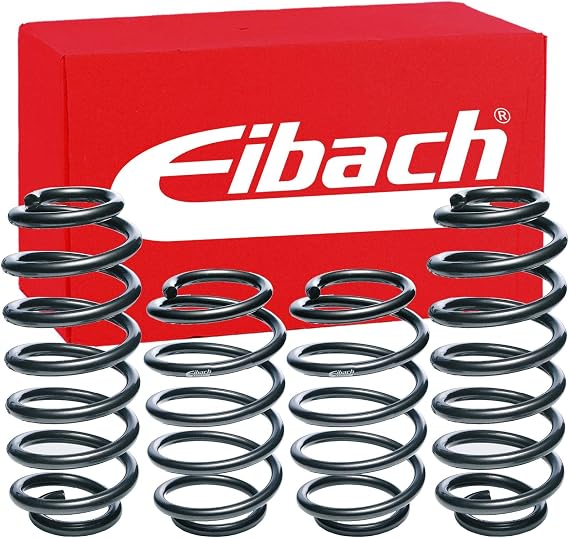 Eibach E10-85-024-02-22 Performance Pro-Kit Springs