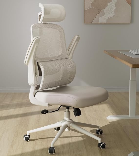 Hbada P1 Ergonomic Office Chair with Flip-Up Armrest, Swivel Computer Desk Chair with 2D Lumbar Support (Grey)