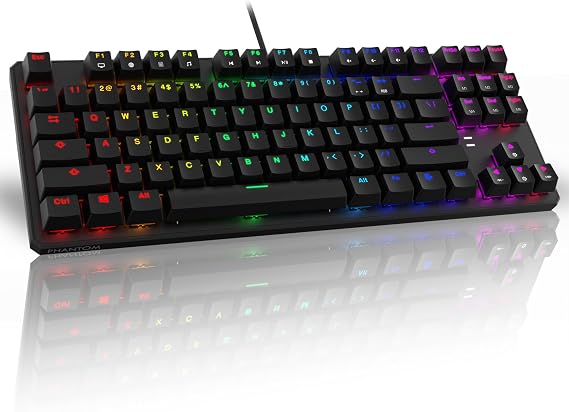 TECWARE Phantom 87 Key RGB Mechanical Gaming Keyboard | Outemu Blue Switch | 16.8M Color LED Lighting | 18 Presets | Low Latency | N-Key Rollover | Software Customized Keys | Wired USB Connection