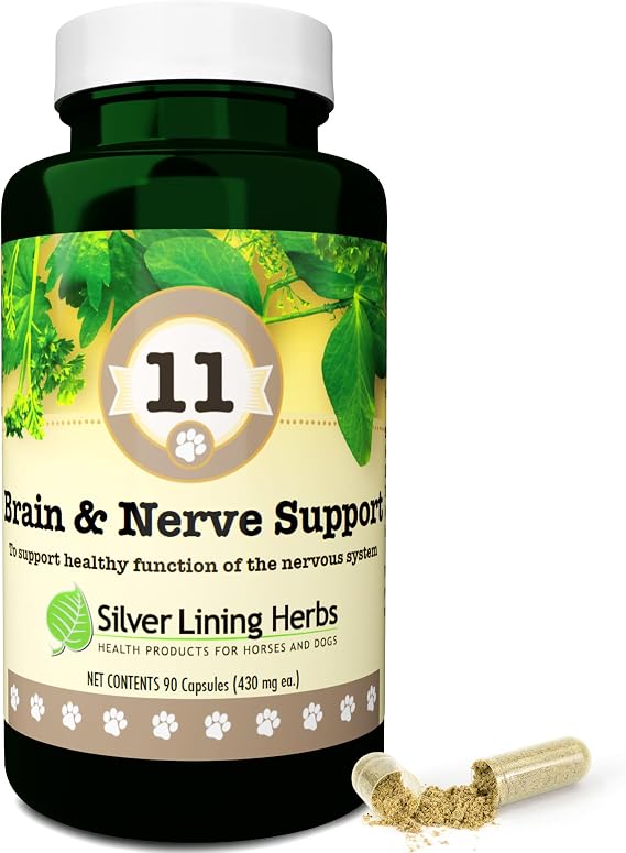 Dog Brain Health & Nerve Supplement - 90 Ct | Brain Health for Dogs, Ginkgo, Gotu Kola, Lemon Balm & Skullcap, Nerve, Focus & Calm Support, 90 ct, Made in USA