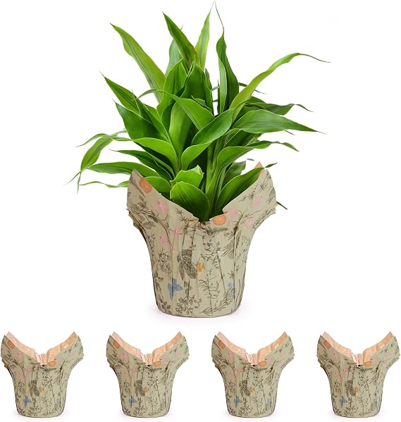 Premium 6 AZA Plant Pot Covers, Decorative Plant Sleeve for Indoor & Outdoor House Plants, Reusable and Gift-Ready for Flower Pots, Green-Print, Pack of 5