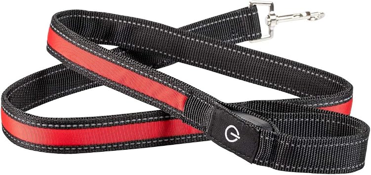 Dorcy International 41-3951 Usb Rechargeable Pet Leash
