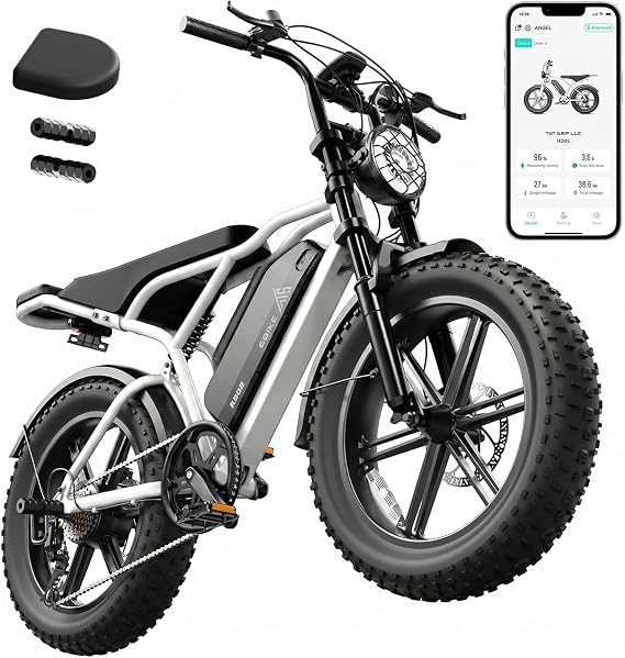TST Electric Bike - 48V 15Ah Battery, 1500W Peak Motor, 20 * 4.0 Fat Tire