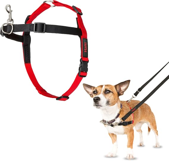 Halti Front Control Dog Harness | Size Small | Dog Harness to Stop Pulling on the Leash | Anti-Pull Training Aid | Front Leading No Pull Harness for Small Dogs