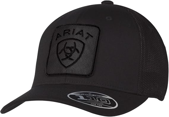 ARIAT Men's Flexfit 110 Logo Snapback, Black