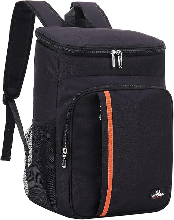 25L Cool Bag Picnic Backpack, 30 Cans Large Capacity Insulated Backpack Cooler Lightweight Leak Proof Soft Cooler Bag for Men Women to Work, Picnics, Hiking, Camping, Beach