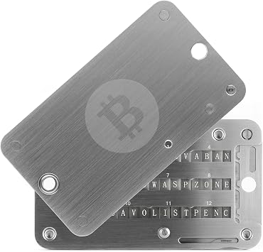 Crypto Seed Phrase Storage, 304 Stainless Steel Secure Bitcoin Wallet, Private Key Recovery Cold Storage Backup 3 Plates 24 Words Compatible with BIP39 Hardware Wallets,Father's Day Gifts