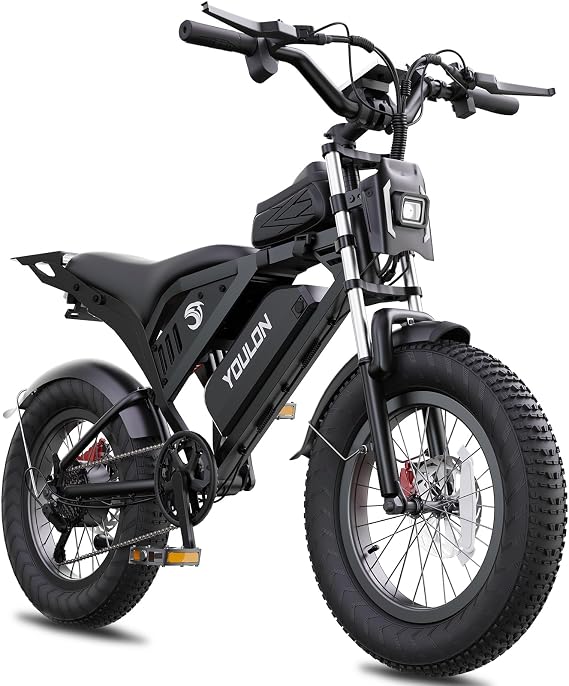 Electric Bike for Adults/Teens, UL2849