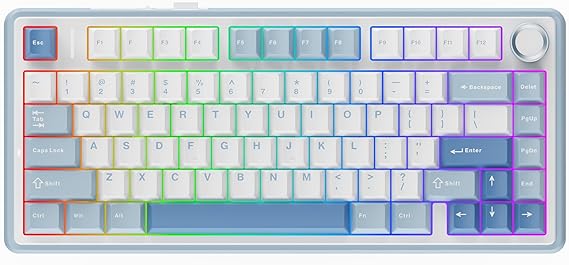 EPOMAKER AULA F75 Wireless Mechanical Gaming Keyboard, 75% Layout with Knob | Creamy Gasekt-Mount with Sound-Dampening, RGB, Hot-Swap, BT/2.4Ghz (Sea Salt Blue, Reaper Switch)