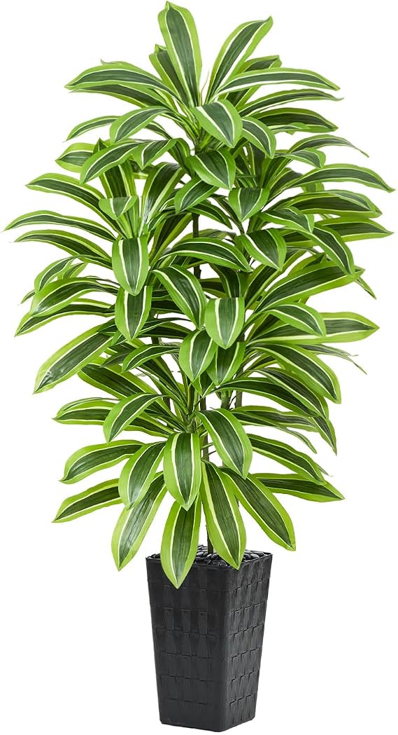 Artificial Dracaena Tree 5FT, Tropical Fake Plants with Tall Black Planter