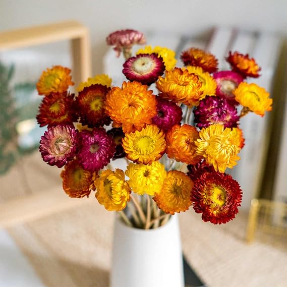 20 Pcs Dried Daisy Flower Bouquet, 17" Multicolor Fall Flowers, Vase Filler