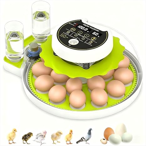 Egg Incubators for Hatching 18 Eggs, Digital Incubator with Temperature Control Water Filling Automatic Turning incubator, Home Incubator for Quail Chicken Duck Pigeon