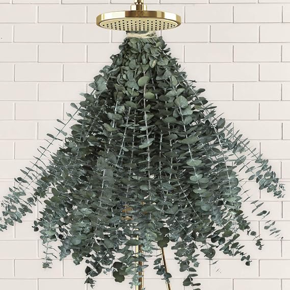 Oning 41 PCS Preserved Dried Eucalyptus Stems for Shower Hanging,17'' | Shower Eucalyptus, Preserved Real Natural Eucalyptus Stems, 100% Made from Fresh Eucalyptus, Wedding, DIY, Vase, Fragrance