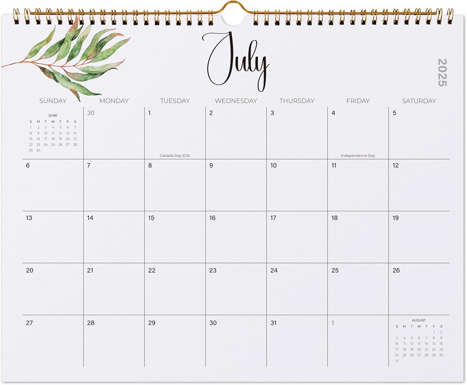 2025 Wall Calendar, Jokotha 16 Monthly Wall Calendar 2025-2026 Runs from Now to June 2026, Wirebound,15 x 12 Inches, Perfect Organizer for Home & Office