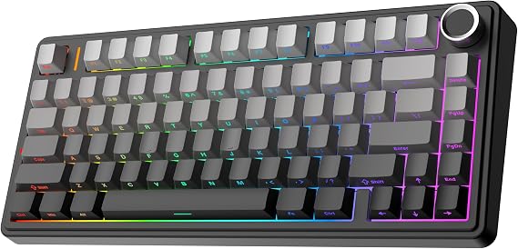EPOMAKER x Aula F75 Gaming Keyboard Gasket Mechanical Keyboard with 5-Layer Pad & Knob 75% Wireless Hot-Swappable Bluetooth/2.4GHz/USB-C RGB FCC Certified Black Gradient, LEOBOG Reaper Switch | Hot Swappable BT/2.4GHz/USB-C RGB Technical Standards Certified Black Gradient, LEOBOG Reaper Switch