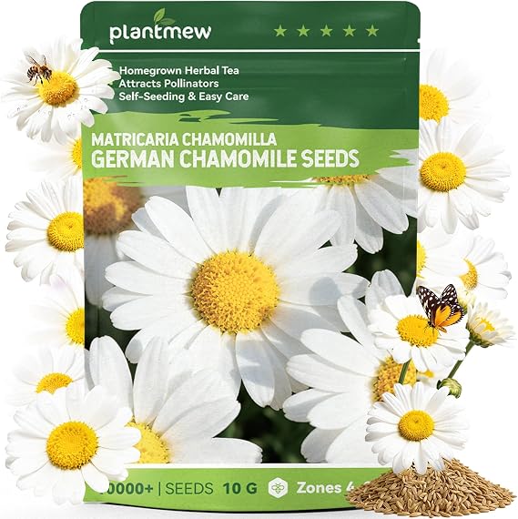 German Chamomile Seeds