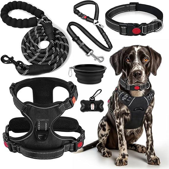LOBEVE No Pull Dog Harness, Collar & Leash Set with Travel Accessories