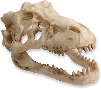 Saim Dinosaur Skull Model Resin Aquarium Decorative Reptile Decor Home Office Display