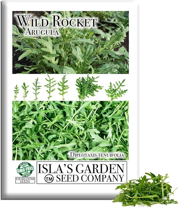 Wild Rocket Arugula Seeds (Diplotaxis tenuifolia) 1000+ Heirloom Non-GMO Seeds by Islas Garden Seeds, Spicy Peppery Greens, Fast-Growing Cut-and-Come-Again Harvests, Cool-Season Garden Favorite