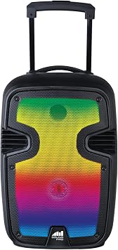 Naxa Electronics NDS-1215 Portable Bluetooth Speaker System, Black