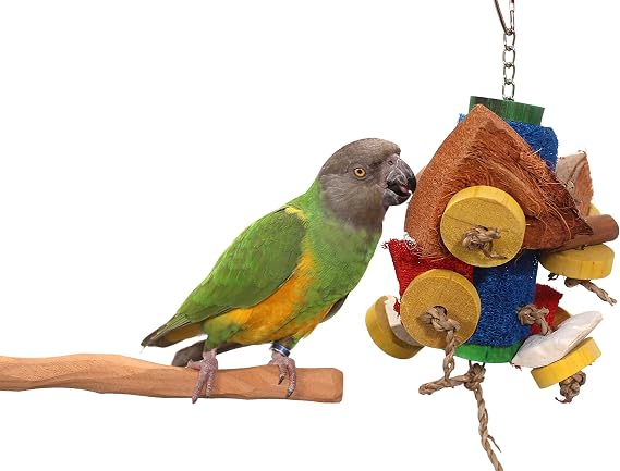 Loofah Parade - Shreddable Parrot Toy (Small)
